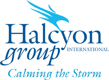 Halcyon International Group